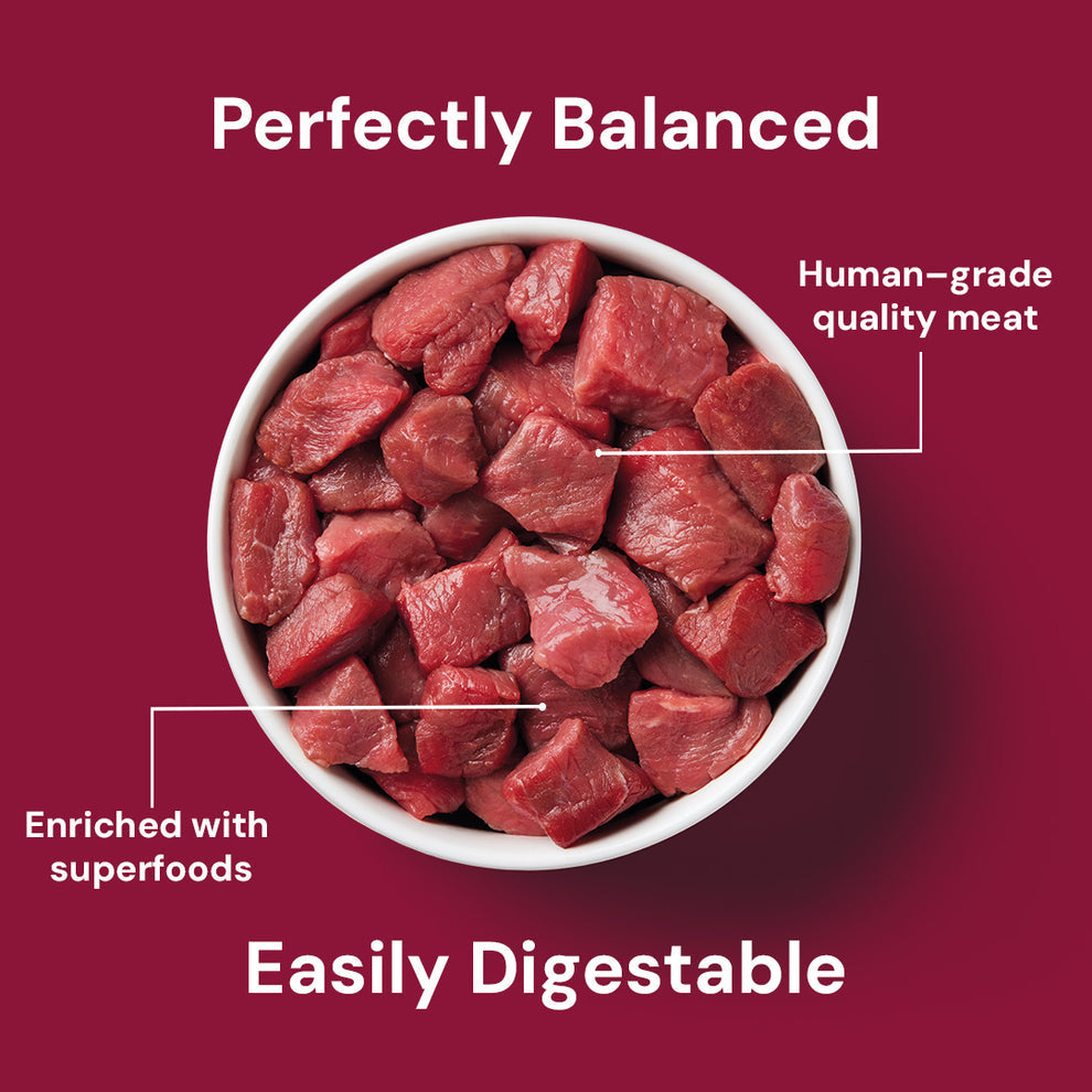 Nutriment Cat Raw Beef 500g