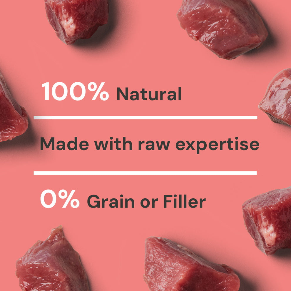 Nutriment Cat Raw Beef 500g