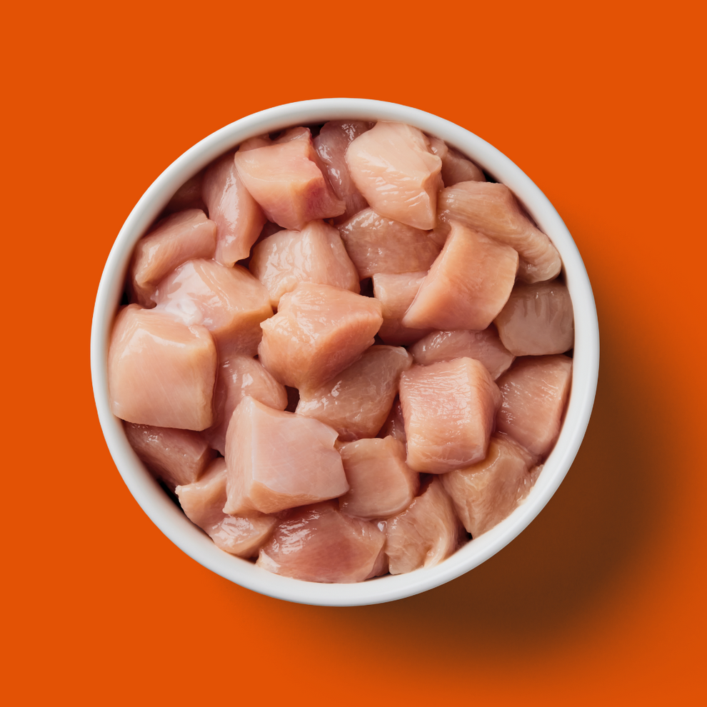 Nutriment Cat Raw Chicken 500g