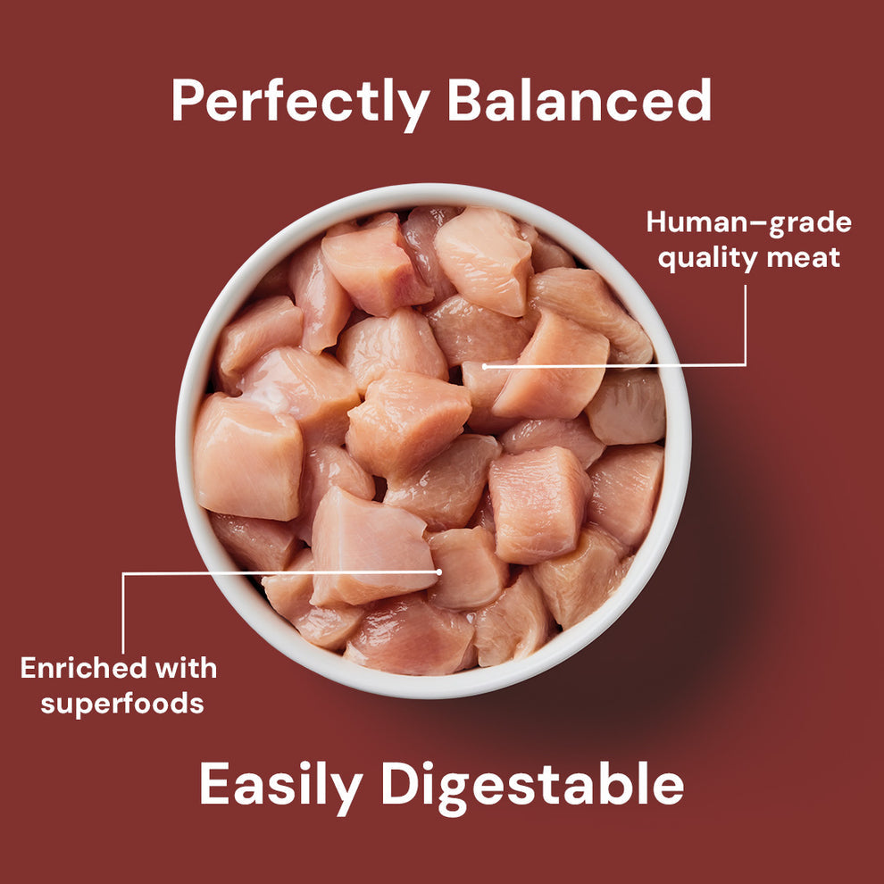 Nutriment Cat Raw Chicken 500g