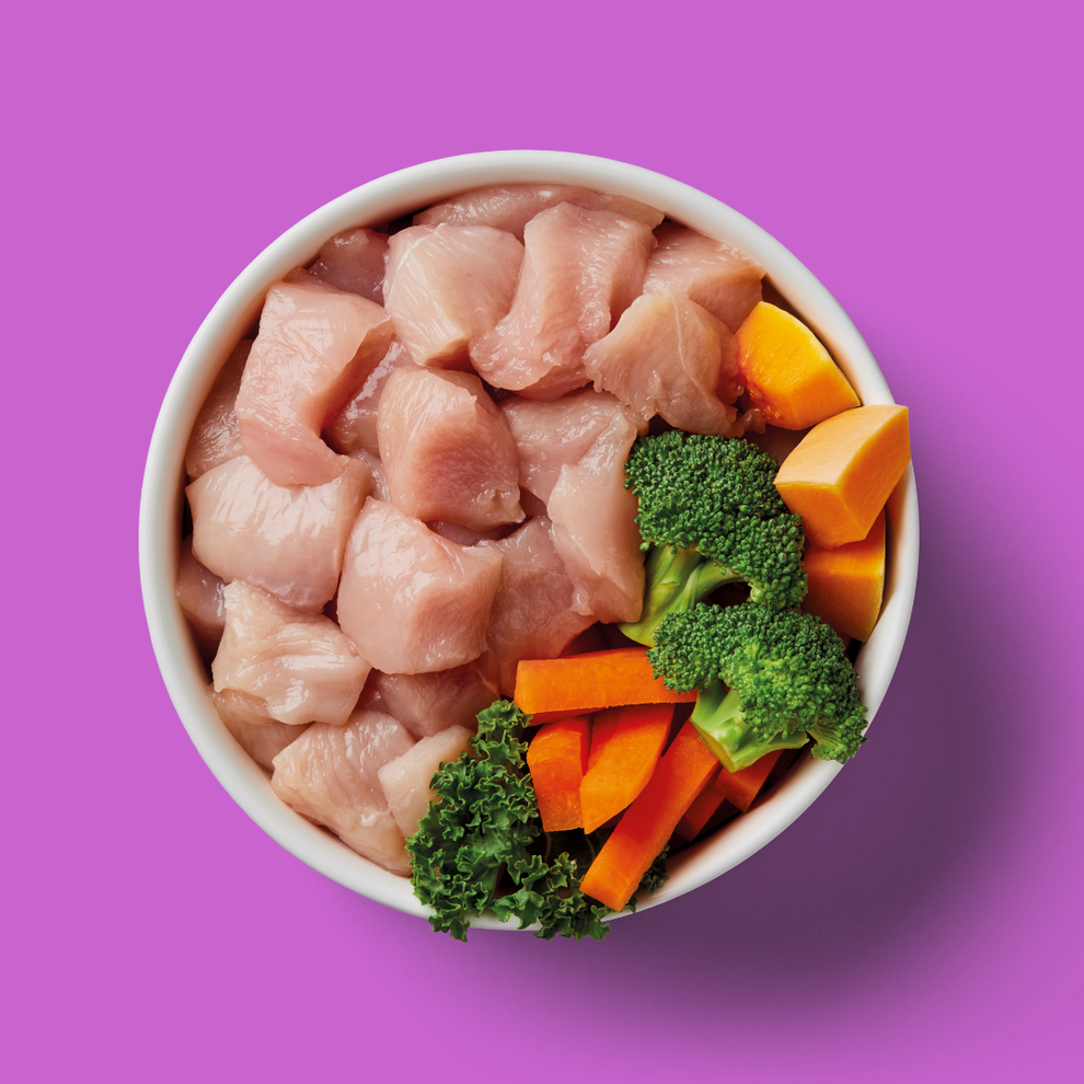 Nutriment Senior Raw Chicken 500g