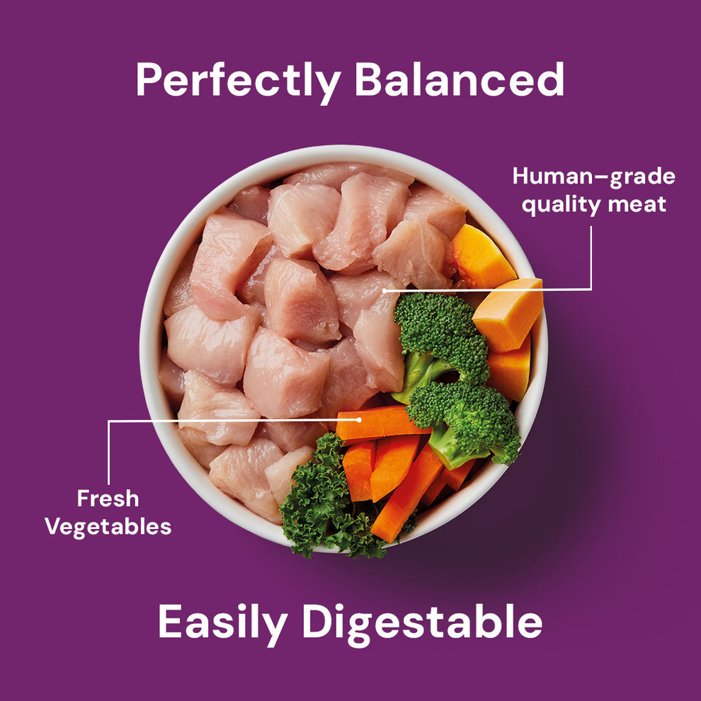 Nutriment Senior Raw Chicken 500g
