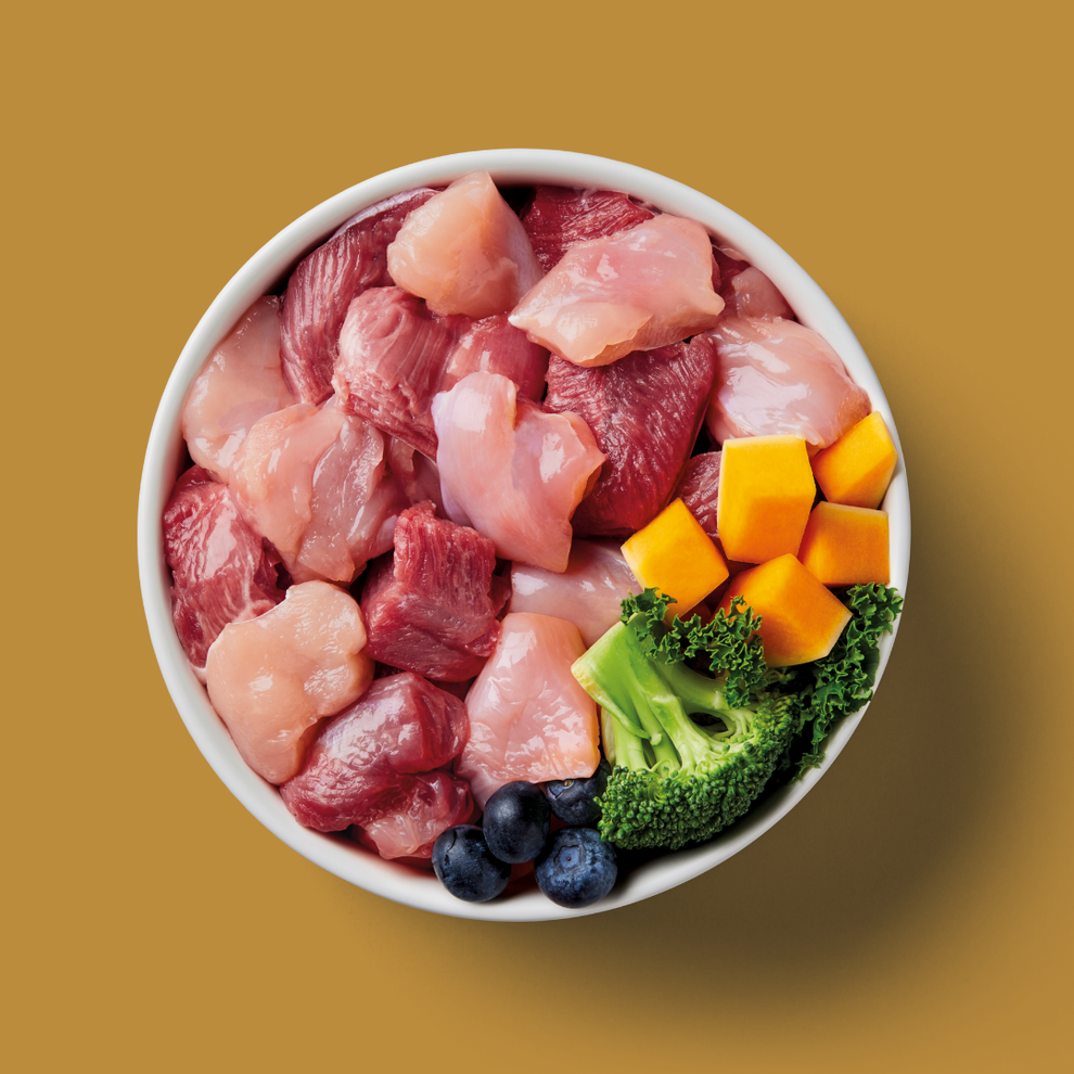 Nutriment Raw Rabbit & Turkey 500g