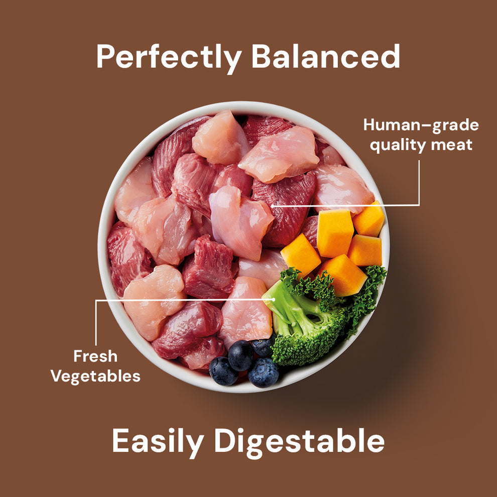 Nutriment Raw Rabbit & Turkey 500g