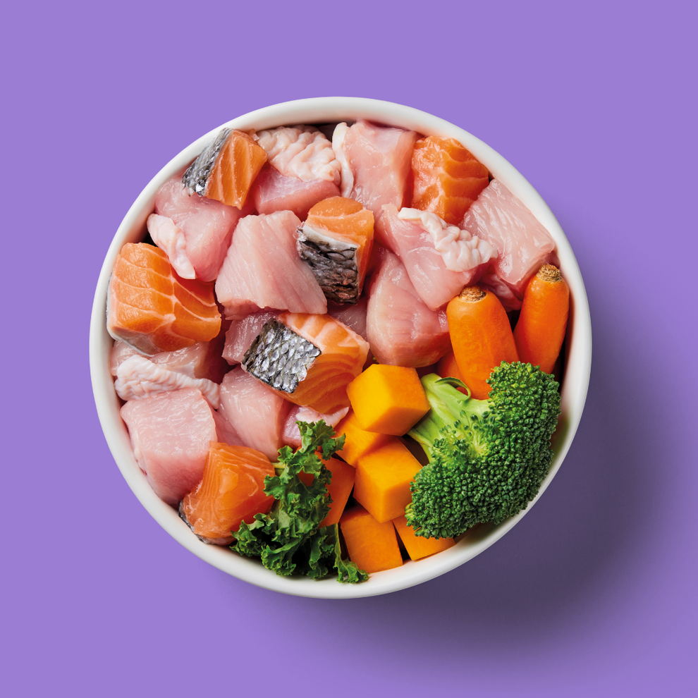 Nutriment Raw Salmon & Turkey