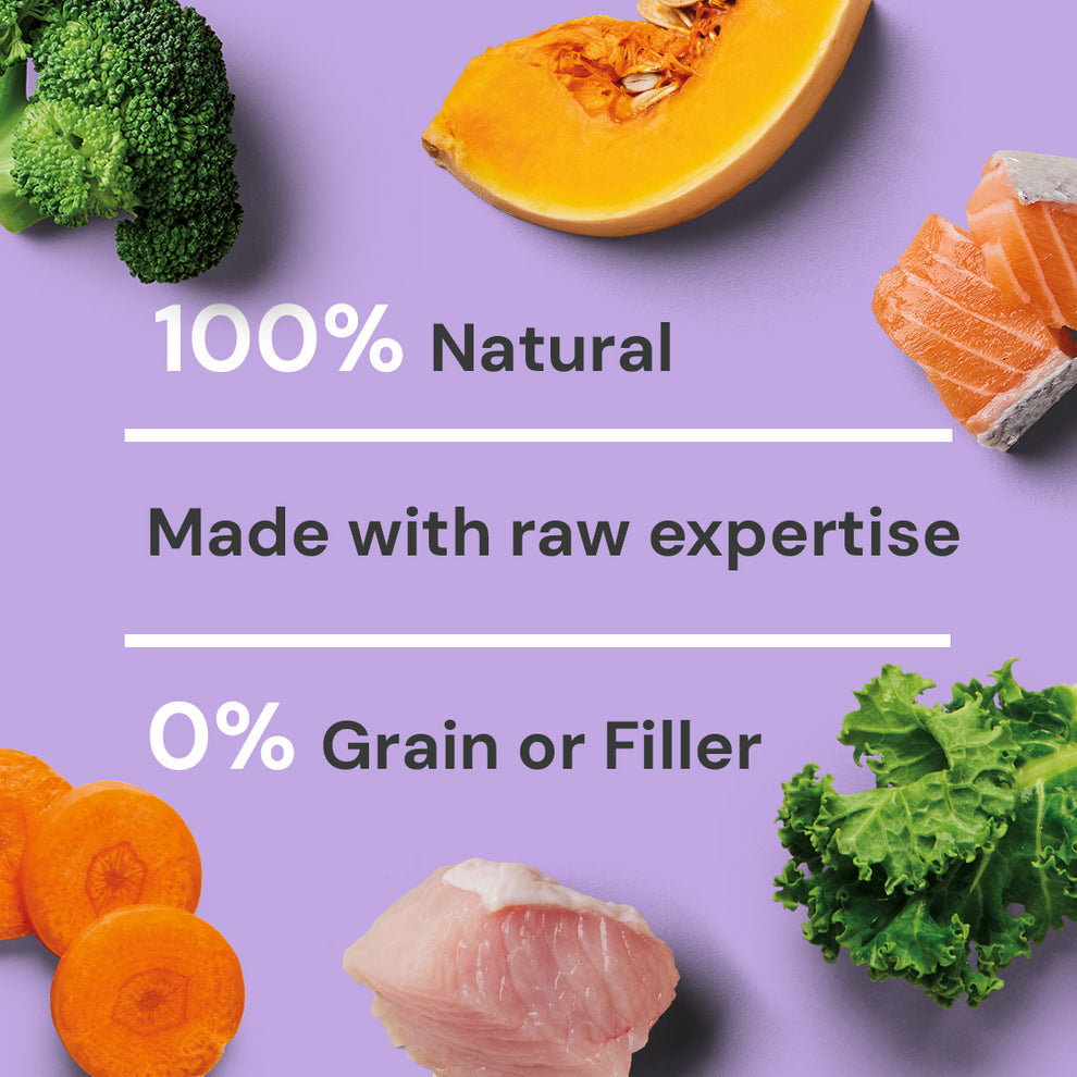 Nutriment Raw Salmon & Turkey