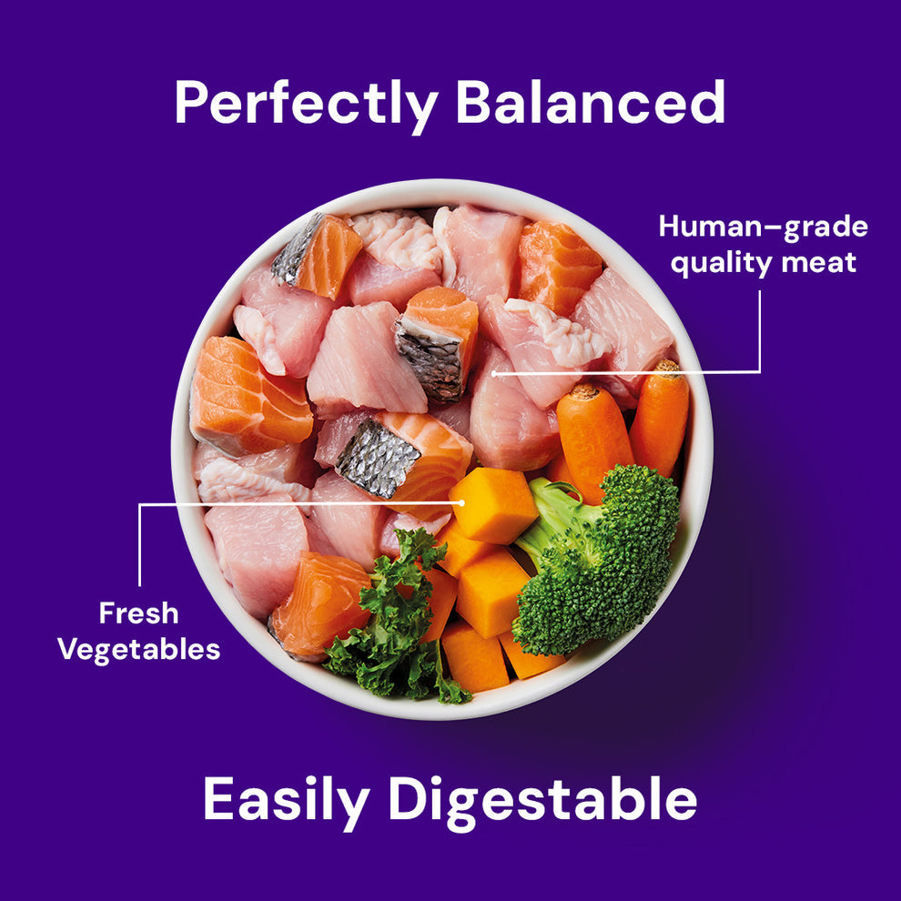 Nutriment Raw Salmon & Turkey