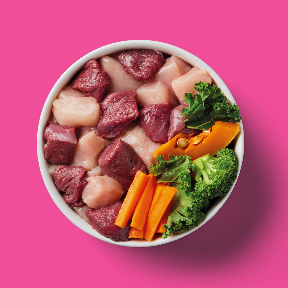 Nutriment Raw Venison & Chicken 500g