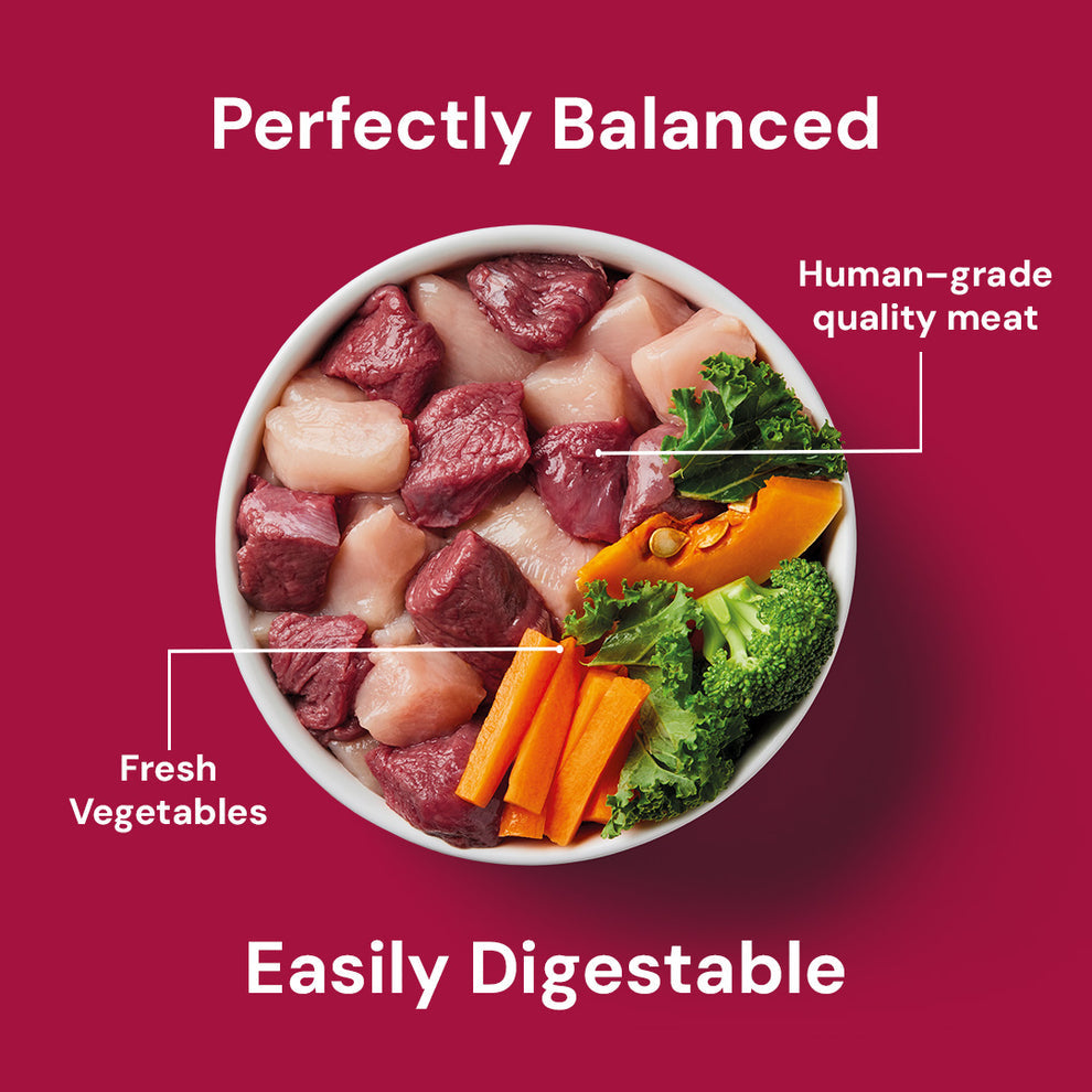 Nutriment Raw Venison & Chicken 500g
