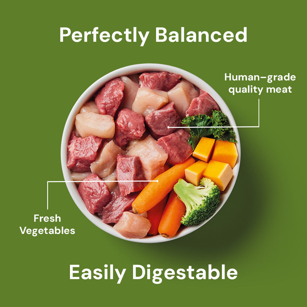 Nutriment Raw Chicken & Lamb