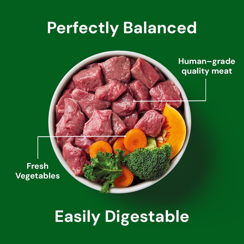 Nutriment Raw Lamb