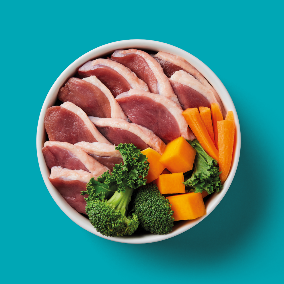 Nutriment Raw Duck