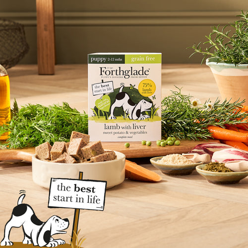 Forthglade Complete Puppy Grain Free Lamb with Liver, Butternut Squash & Vegetables