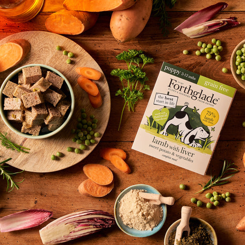 Forthglade Complete Puppy Grain Free Lamb with Liver, Butternut Squash & Vegetables