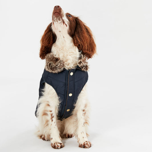Joules Cherington Quilted Coat
