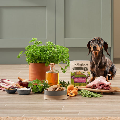 Duck & Venison with Green Beans and Apricots Gourmet Wet Food