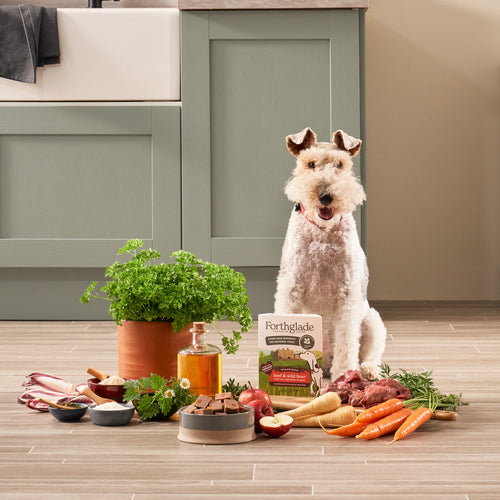 Beef & Wild Boar with Root Veg & Apples Gourmet Wet Food