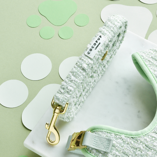 Matcha Textured Tweed Lead
