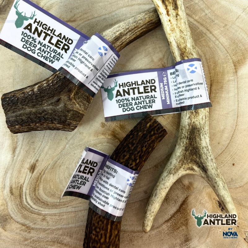 Highland Antler