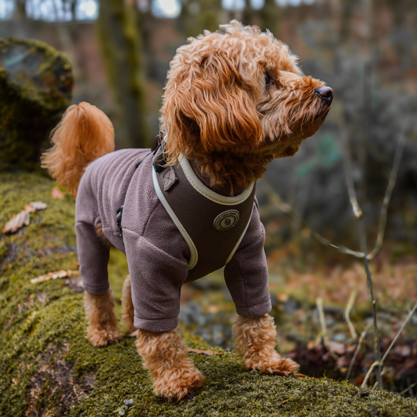 Chestnut Trail Fleece Suit