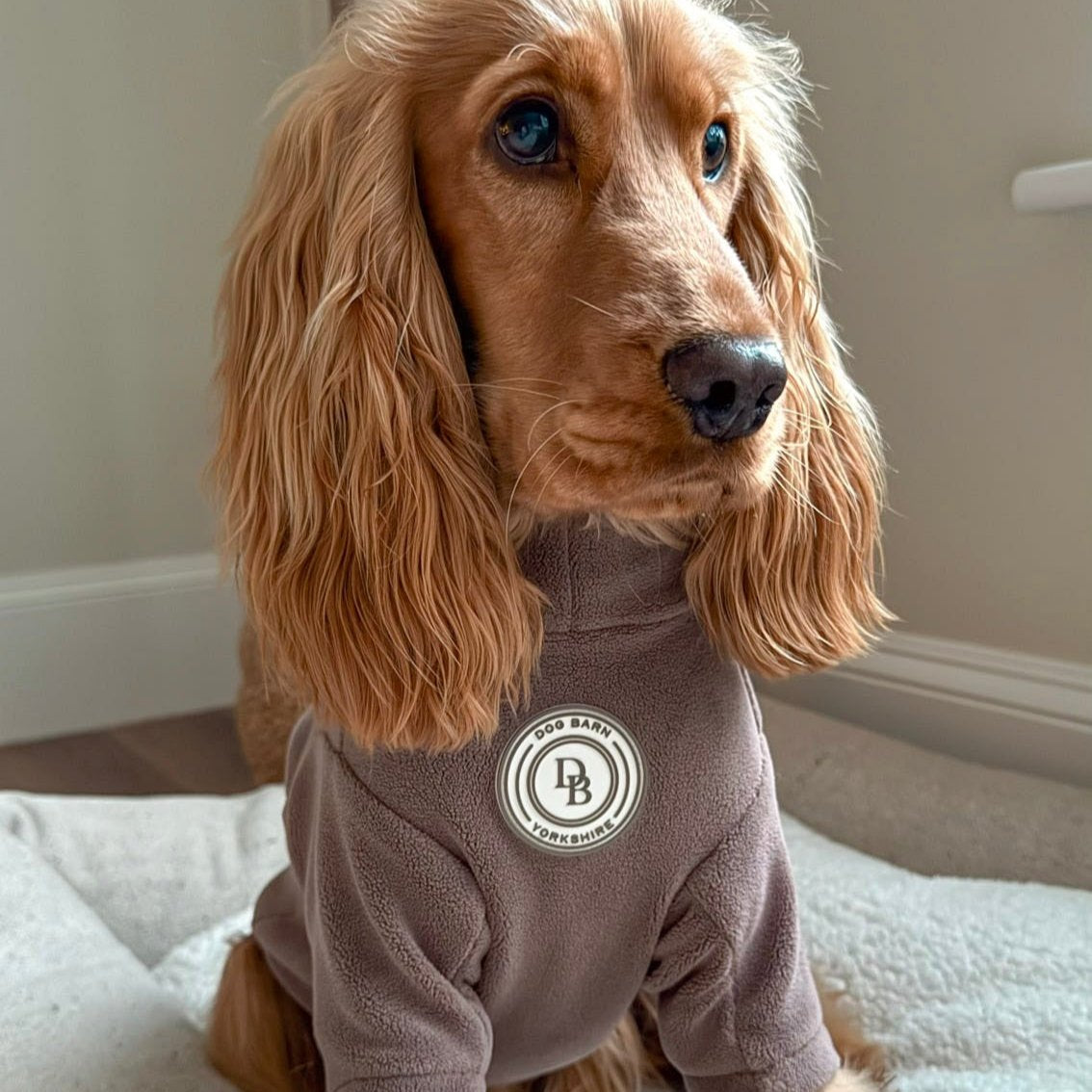 Chestnut Trail Fleece Suit