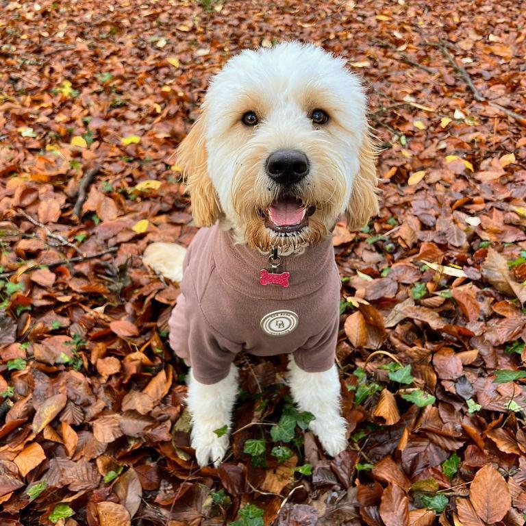 Chestnut Trail Fleece Suit