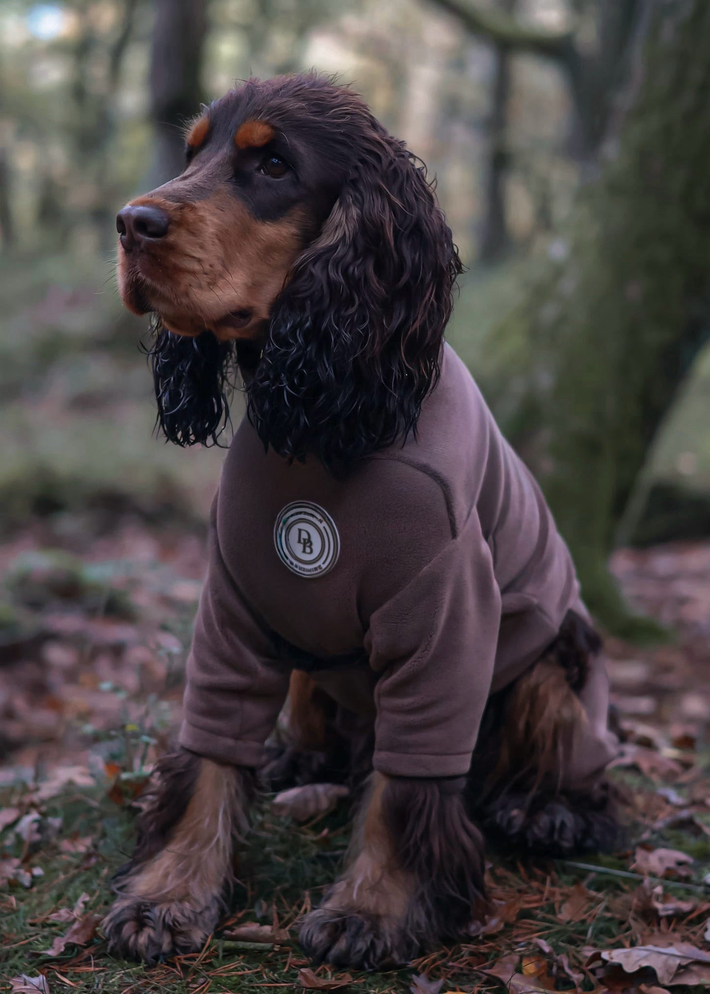 Chestnut Trail Fleece Suit