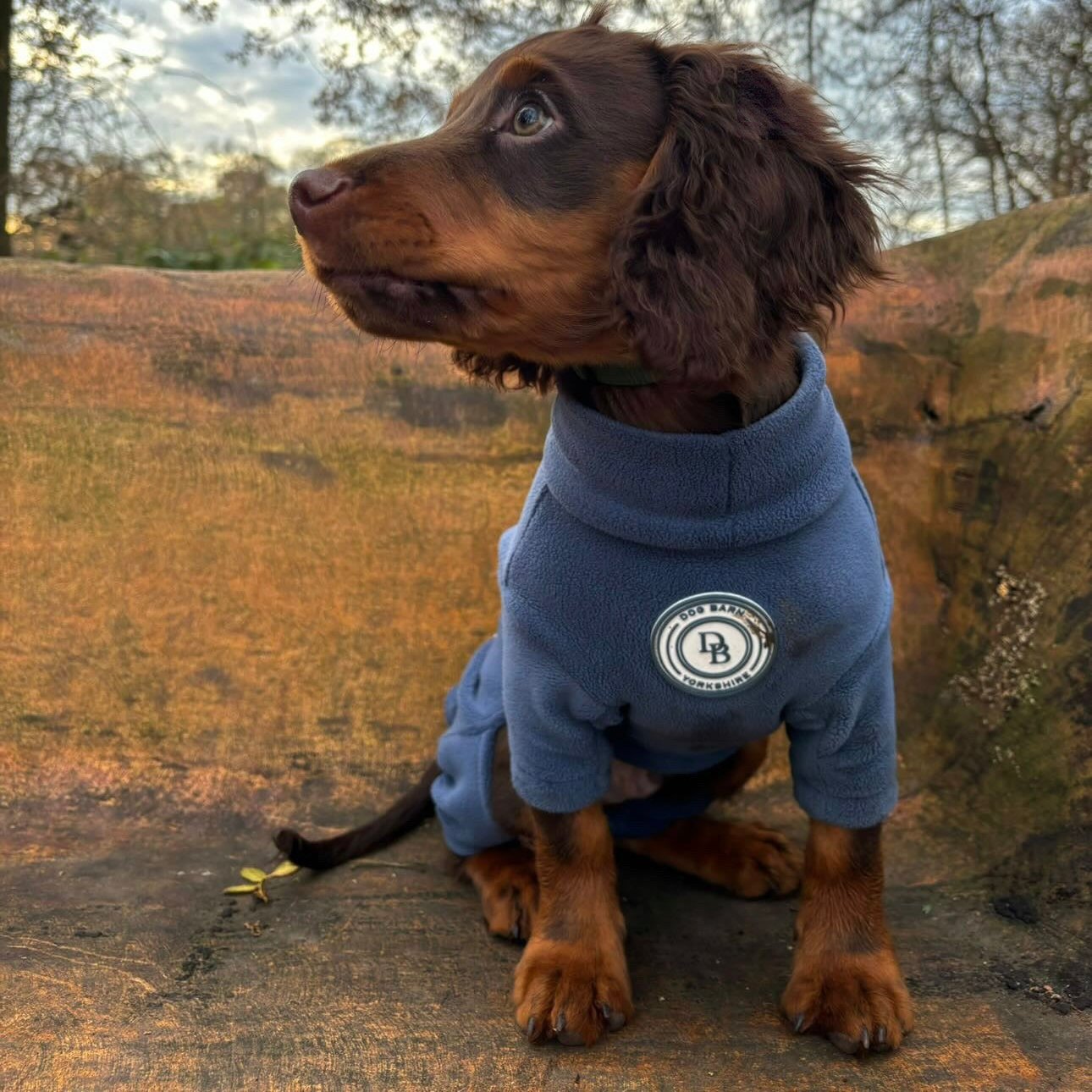 Starlit Meadow Fleece Suit