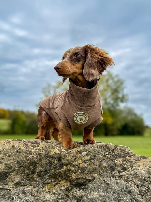 Chestnut Trail Dachshund Fleece