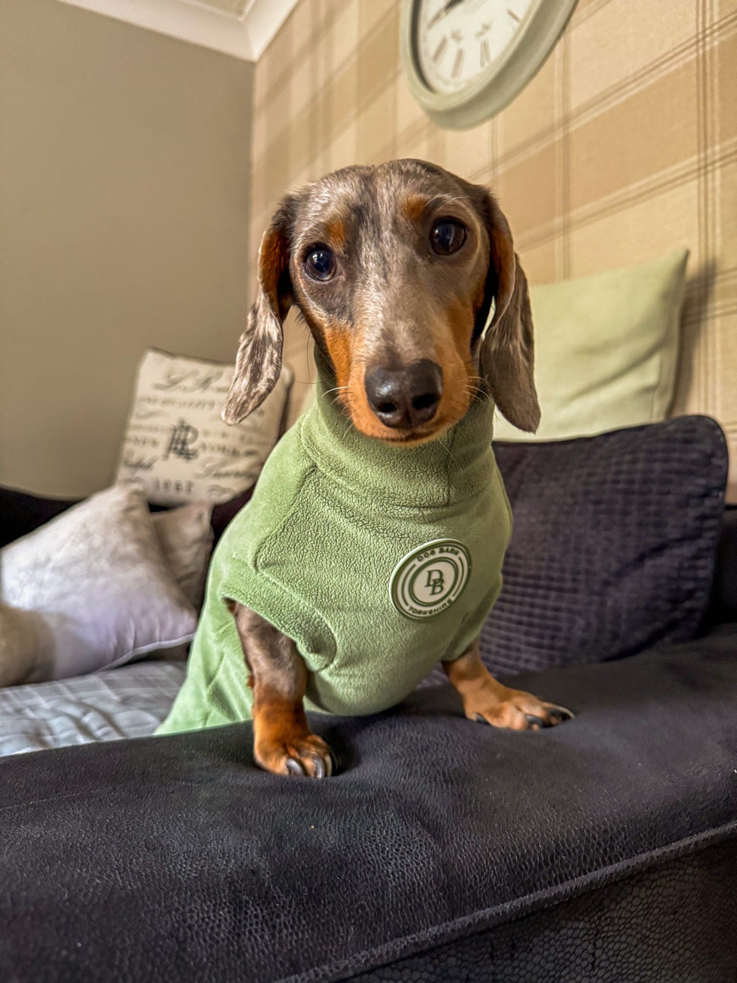 Forest Glade Dachshund Fleece