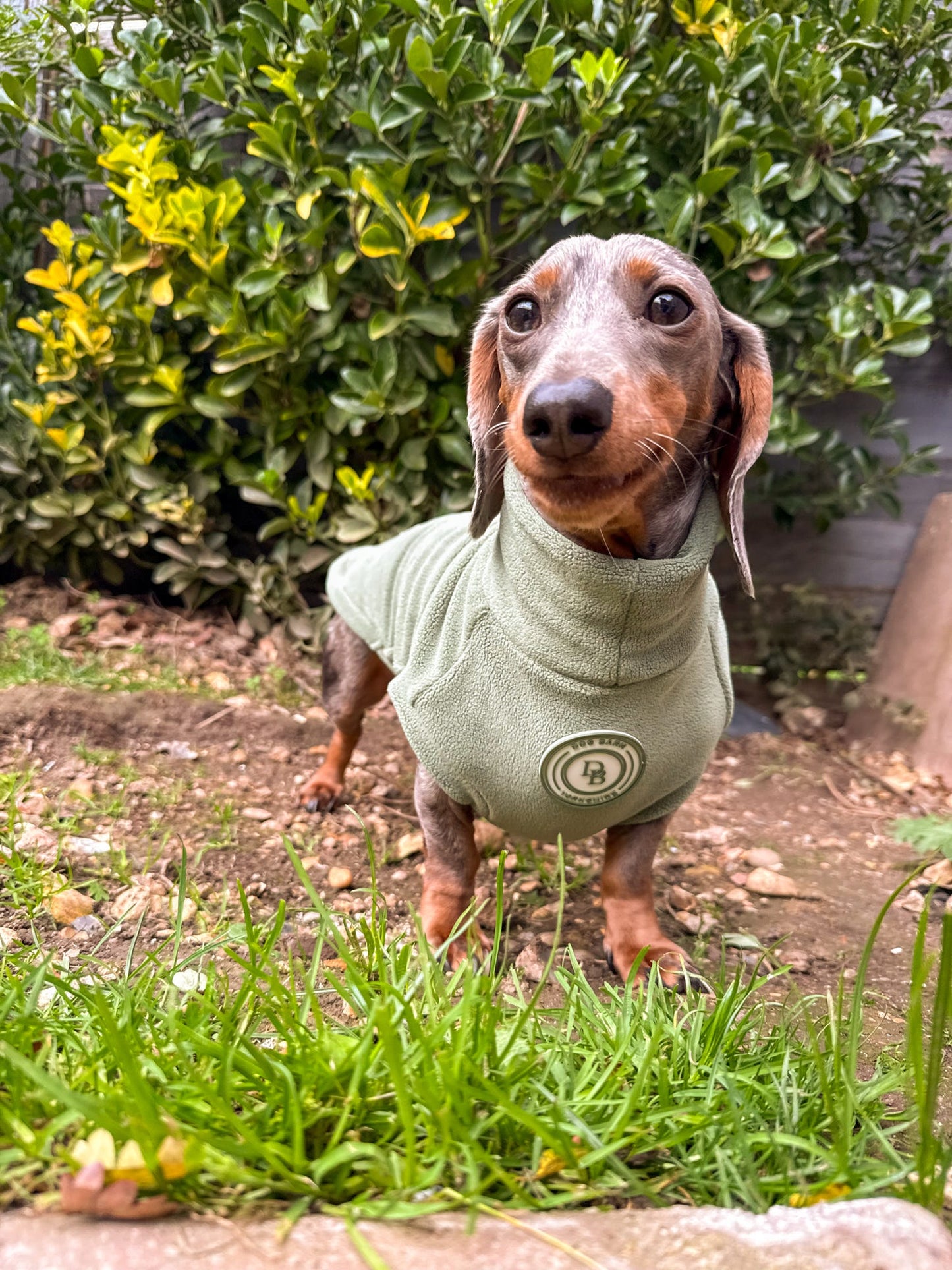 Forest Glade Dachshund Fleece