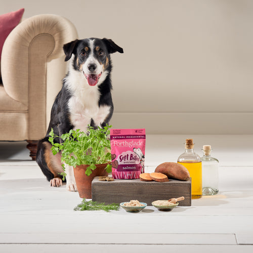 Forthglade Soft Bites Salmon Dog Treats 90g