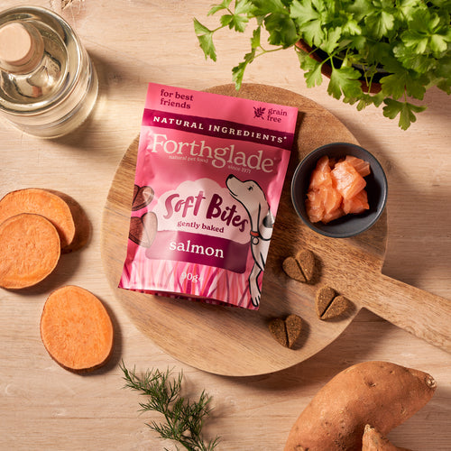 Forthglade Soft Bites Salmon Dog Treats 90g