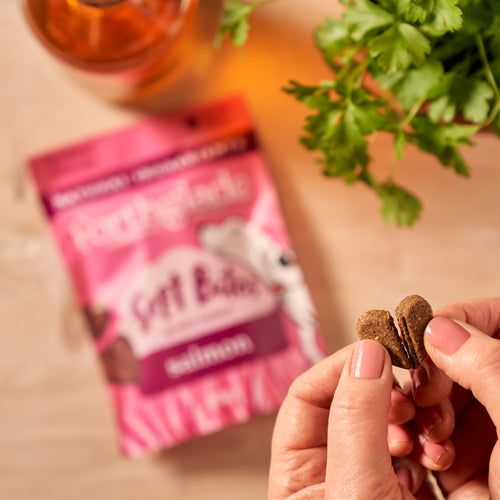 Forthglade Soft Bites Salmon Dog Treats 90g