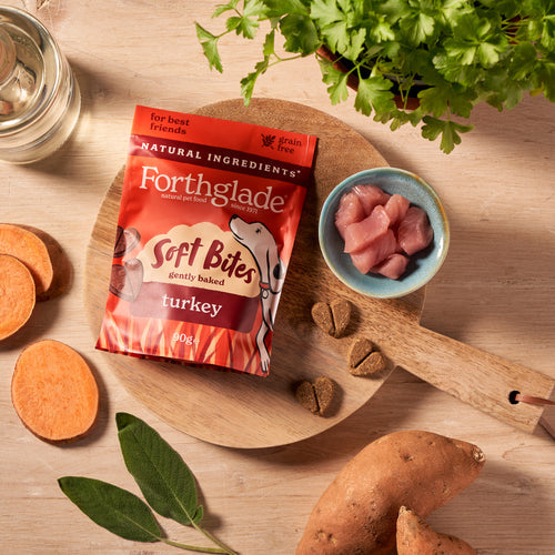 Forthglade Soft Bites Turkey Dog Treats 90g