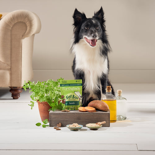 Forthglade Soft Bites Lamb Dog Treats 90g