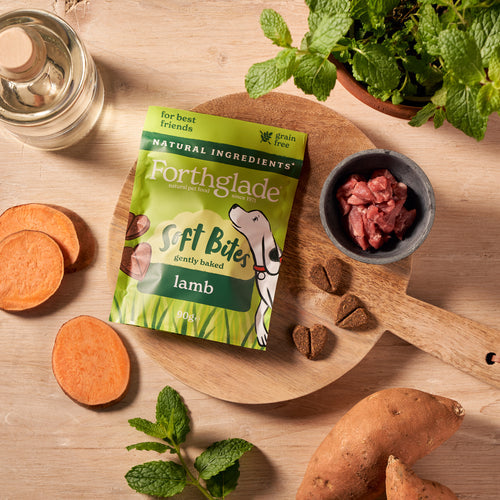 Forthglade Soft Bites Lamb Dog Treats 90g