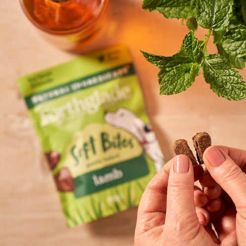 Forthglade Soft Bites Lamb Dog Treats 90g