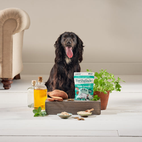 Forthglade Fresh Breath Peppermint & Parsley Dog Treats 90g