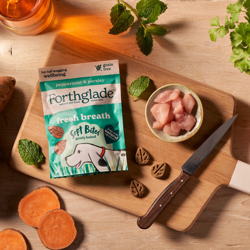 Forthglade Fresh Breath Peppermint & Parsley Dog Treats 90g