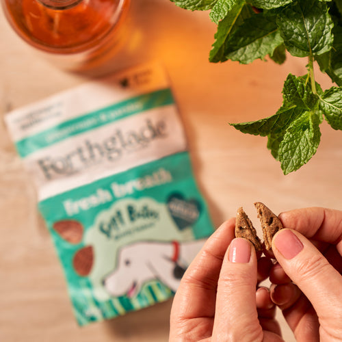 Forthglade Fresh Breath Peppermint & Parsley Dog Treats 90g