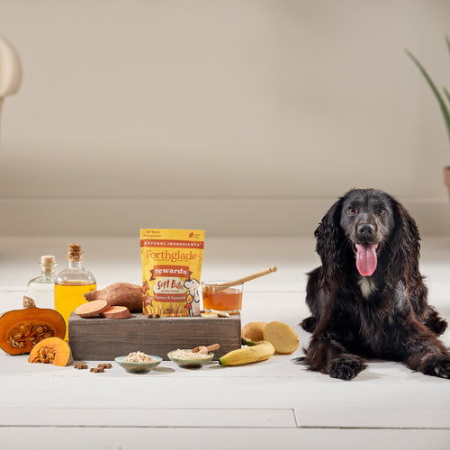 Forthglade Rewards Honey & Banana Dog Training Treats 90g