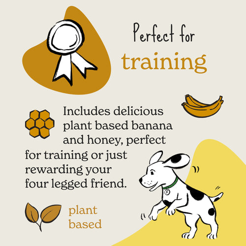 Forthglade Rewards Honey & Banana Dog Training Treats 90g