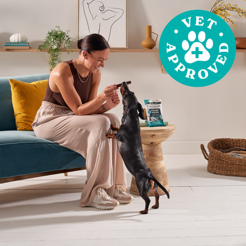 Forthglade Plant Based Dog Dental Sticks 5pk