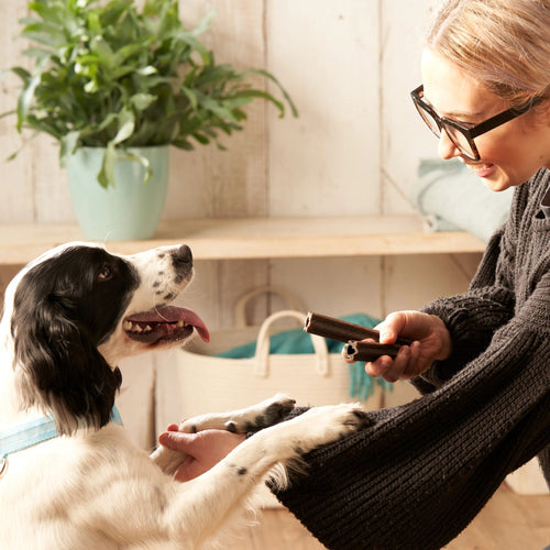 Forthglade Plant Based Dog Dental Sticks 5pk