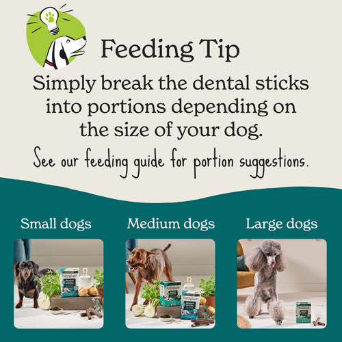 Forthglade Plant Based Dog Dental Sticks 5pk