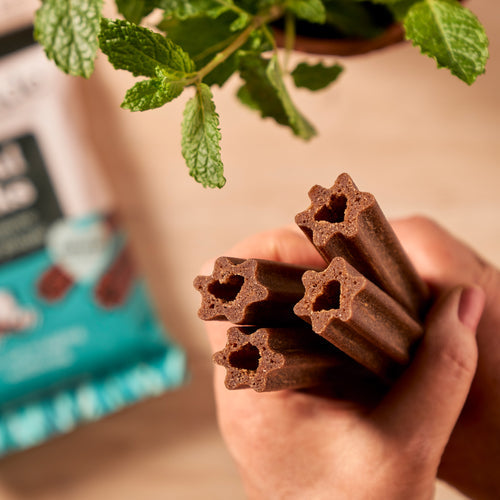 Forthglade Plant Based Dog Dental Sticks 5pk