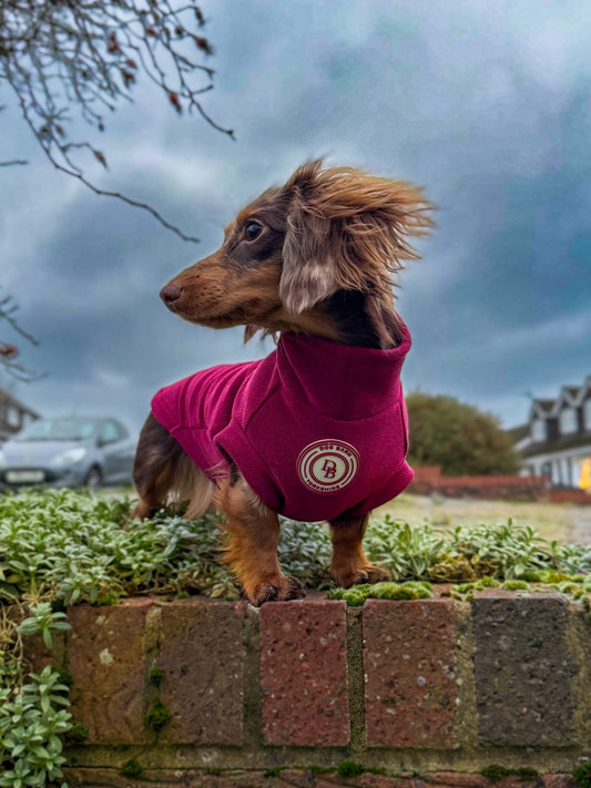 Berry Moors Dachshund Fleece