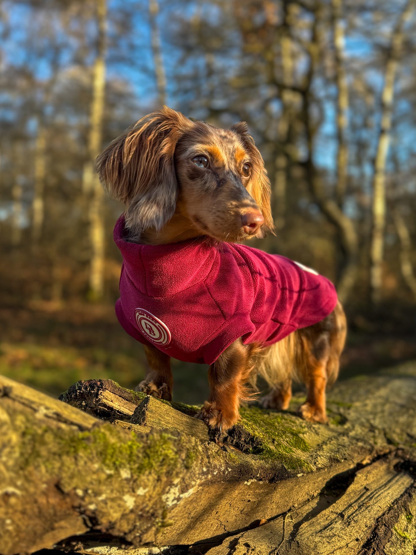 Berry Moors Dachshund Fleece
