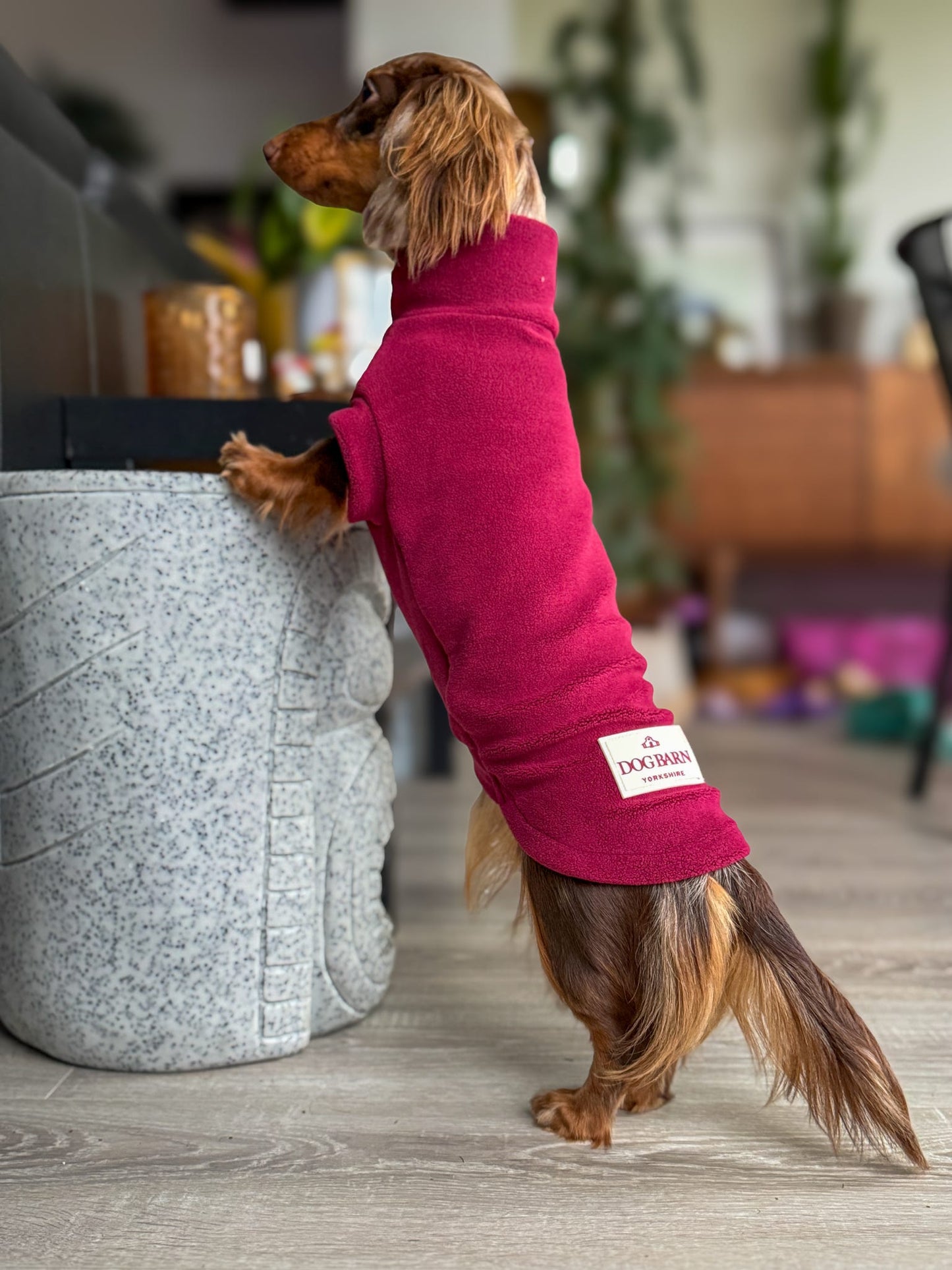 Berry Moors Dachshund Fleece